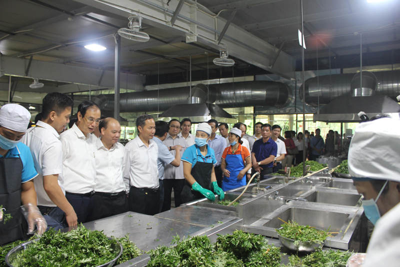 Đoàn công tác thành phố Hà Nội thăm Công ty CP sản xuất hàng thể thao MXP - Ảnh 7