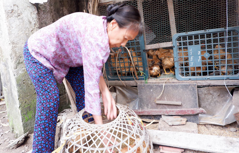 Phụ nữ Hà Đông: Hướng phong trào về cơ sở, giúp chị em thoát nghèo - Ảnh 2