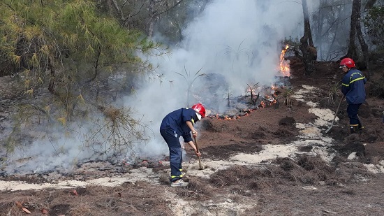7 tháng, Quảng Ngãi xảy ra 51 vụ cháy rừng - Ảnh 1