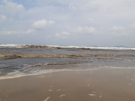 Quảng Ngãi: Nước biển tại bãi tắm Khe Hai chuyển đen bất thường - Ảnh 3