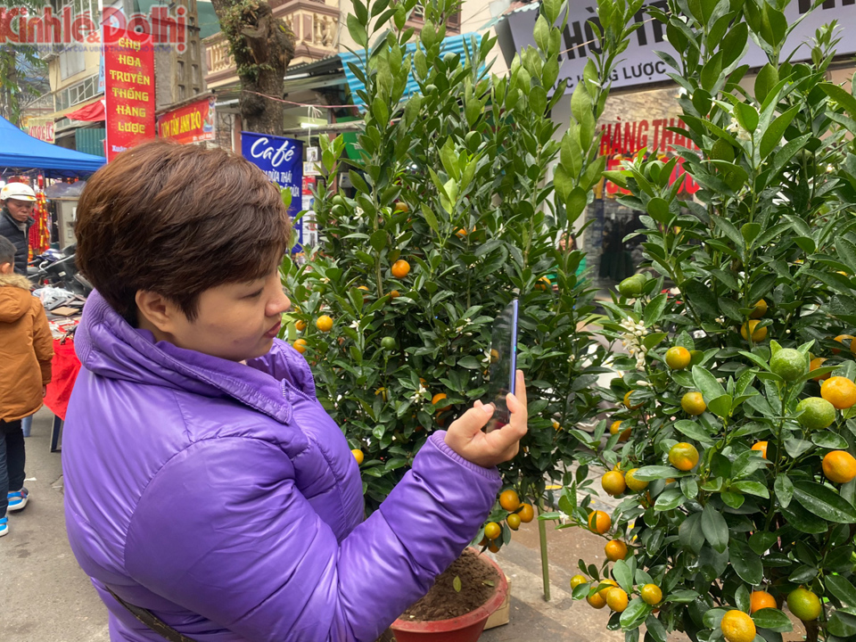 [Ảnh] Chợ hoa lâu năm ở Hà Nội tấp nập những ngày cận Tết Nguyên đán 2020 - Ảnh 11