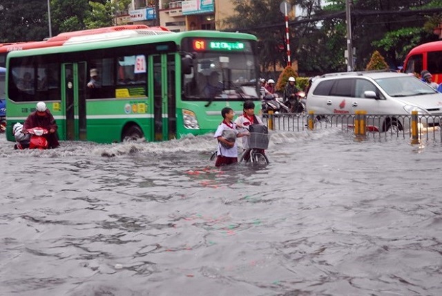 Đánh giá việc thực hiện 7 chương trình đột phá của TP Hồ Chí Minh giai đoạn 2015 - 2020 - Ảnh 3