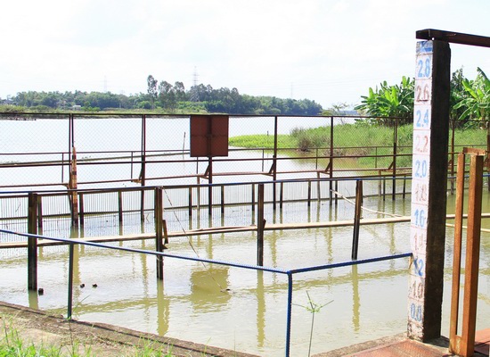 Sông Cầu Đỏ nhiễm mặn 71 ngày, Đà Nẵng cảnh báo nguy cơ thiếu nước sinh hoạt - Ảnh 1
