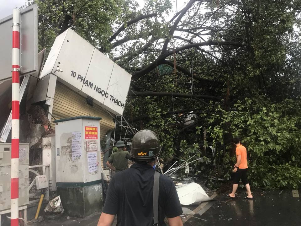 [Ảnh] Hà Nội: Mưa gió khủng khiếp, cây đổ hàng loạt khiến 1 người thiệt mạng - Ảnh 18
