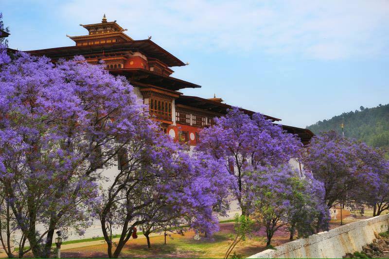 Tour đặc biệt mừng Quốc khánh 2/9: “Tìm hạnh phúc ở Bhutan” - Ảnh 2