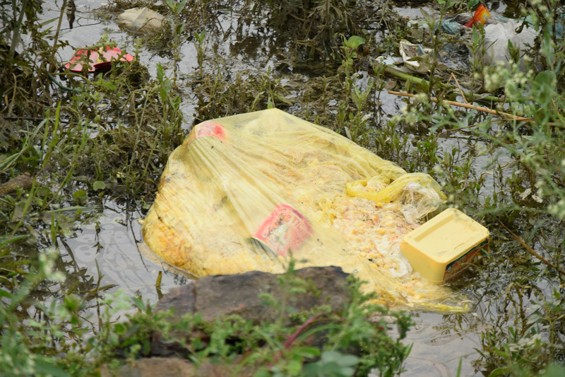 Sinh viên và người dân dọn 30 tấn rác tự phát tại chân cầu Xuân Lai - Ảnh 4