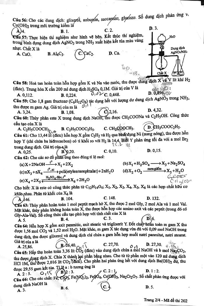 Gợi ý giải bài thi môn Hóa học THPT Quốc gia 2018 - Ảnh 2