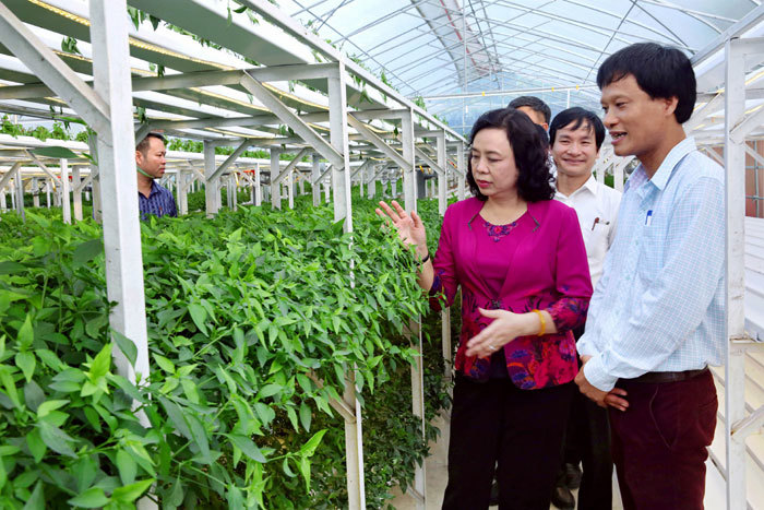 Hà Nội dẫn đầu cả nước về xây dựng nông thôn mới: Tạo bước chuyển biến tích cực trong phát triển nông nghiệp và nâng cao đời sống nông dân - Ảnh 2