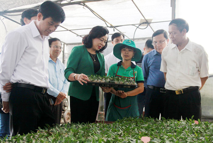 Thủ đô Hà Nội - địa phương dẫn đầu cả nước về thực hiện chương trình xây dựng nông thôn mới - Ảnh 1