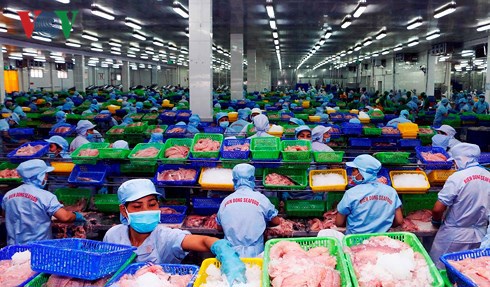 Nhiều doanh nghiệp làm ăn “chộp giật” đang làm giảm uy tín cá tra Việt - Ảnh 2