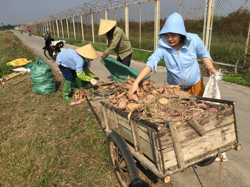 Hà Nội: Nông dân “đội nắng” xuống đồng đầu Xuân - Ảnh 8