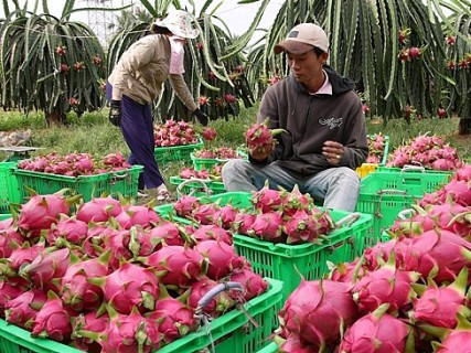 Bộ Công Thương ban hành kế hoạch hành động ứng phó tác động Covid-19 - Ảnh 2