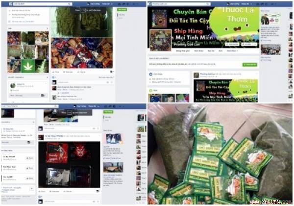 Xử lý nghiêm hoạt động quảng bá, mua bán trái phép chất ma túy trên mạng internet - Ảnh 1