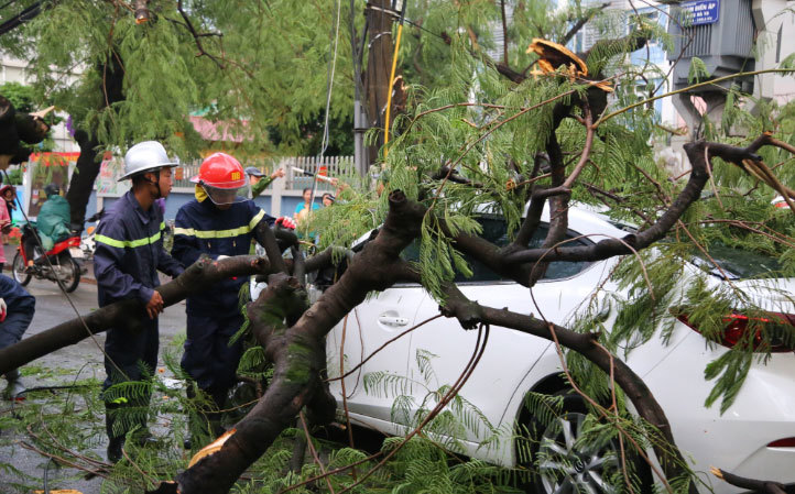 [Ảnh] Hà Nội: Mưa gió khủng khiếp, cây đổ hàng loạt khiến 1 người thiệt mạng - Ảnh 25