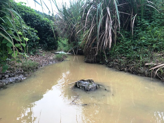 Vụ nước sạch sông Đà bị nhiễm dầu: Điều khó tránh khỏi - Ảnh 3