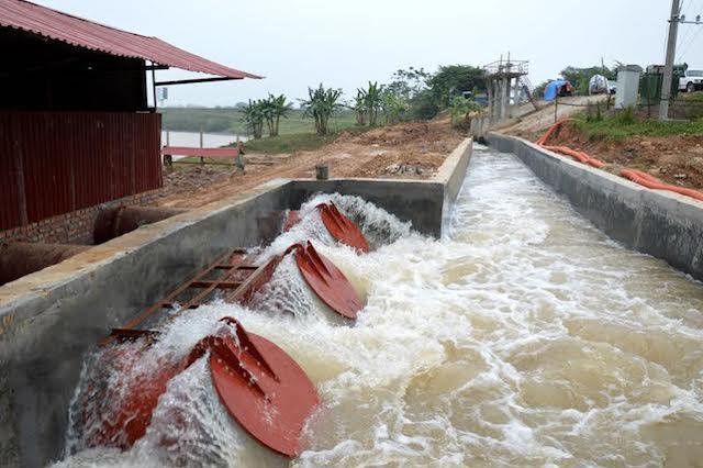 Kết thúc đợt xả đầu tiên, trên 54% diện tích canh tác vụ Xuân 2020 đã có nước - Ảnh 1