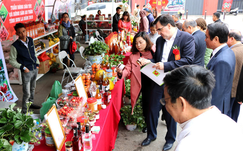 Tuần hàng dâu tây Sơn La lần đầu tiên được tổ chức tại Hà Nội - Ảnh 5