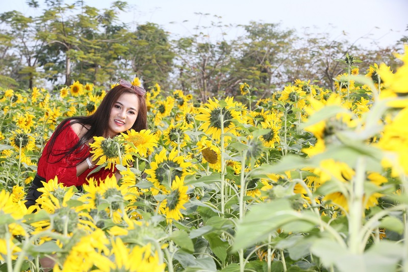 Lễ hội hoa xuân Sun World Halong Complex- Nét văn hóa duyên dáng từ miền biển - Ảnh 4