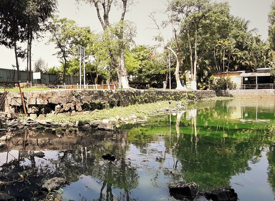 Nước thải bốc mùi đe dọa công viên lớn nhất Đà Nẵng - Ảnh 2
