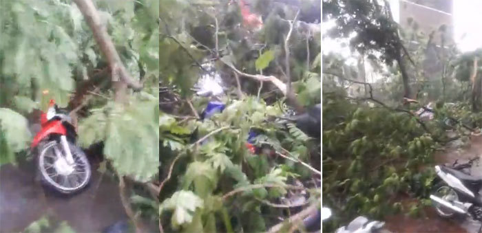 [Ảnh] Hà Nội: Mưa gió khủng khiếp, cây đổ hàng loạt khiến 1 người thiệt mạng - Ảnh 16