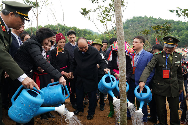 Thủ tướng phát động Tết trồng cây đời đời nhớ ơn Bác Hồ - Ảnh 3