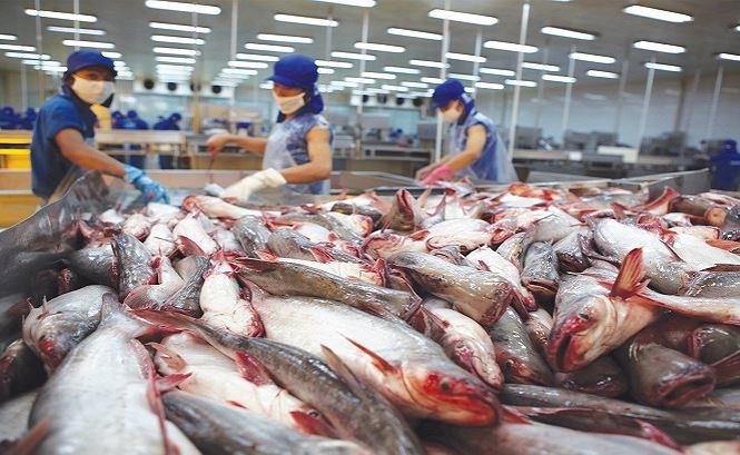 Mỹ nới thuế chống bán phá giá cá tra của Việt Nam - Ảnh 1