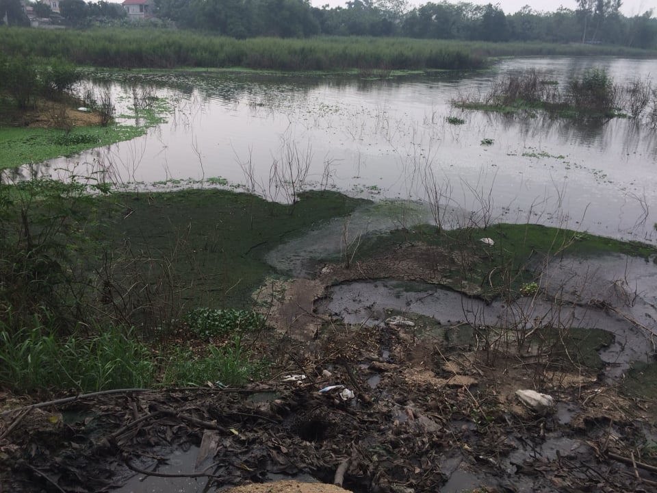 Huyện Ba Vì: Cần kiểm tra làm rõ trại lợn xả thải gây ô nhiễm môi trường hồ Suối Hai - Ảnh 5