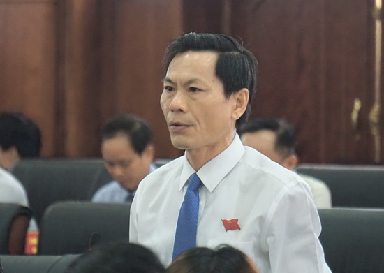 Đại biểu HĐND TP Đà Nẵng hiến kế phát triển kinh tế - Ảnh 2