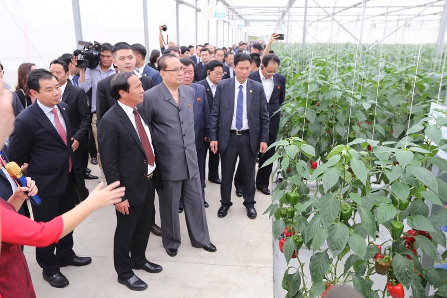 [Photo] Lãnh đạo cấp cao Triều Tiên thăm Công ty VinEco - Ảnh 3