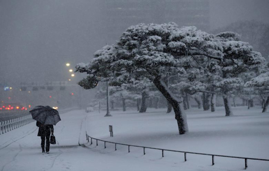 Hình ảnh tuyết rơi kỷ lục tại Tokyo gây cản trở giao thông - Ảnh 3