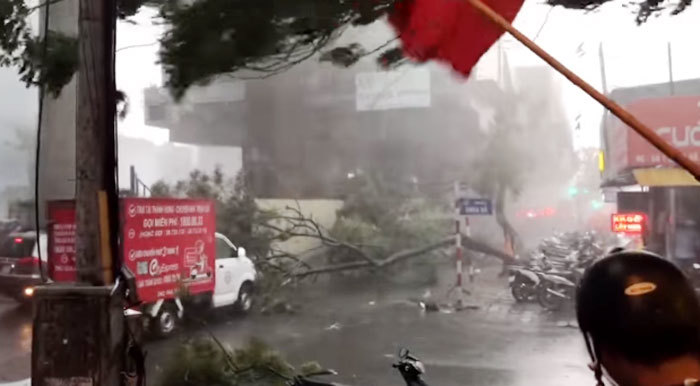[Ảnh] Hà Nội: Mưa gió khủng khiếp, cây đổ hàng loạt khiến 1 người thiệt mạng - Ảnh 14