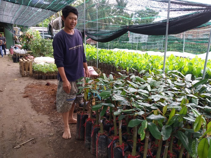 Gian nan đưa giống sầu riêng ruột đỏ Sapa về Việt Nam của người nông dân Bến Tre - Ảnh 3