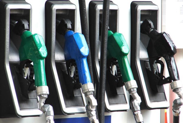 Chính phủ yêu cầu thanh tra về xăng dầu theo chuẩn Euro 4 - Ảnh 1