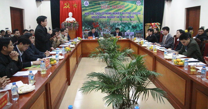 Hà Nội - Lào Cai tăng cường liên kết sản xuất, tiêu thụ nông sản - Ảnh 1