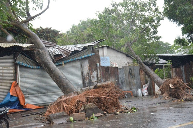 Hàng loạt nhà bị tốc mái, cây xanh đổ gãy ở phía Đông TP Hồ Chí Minh - Ảnh 1