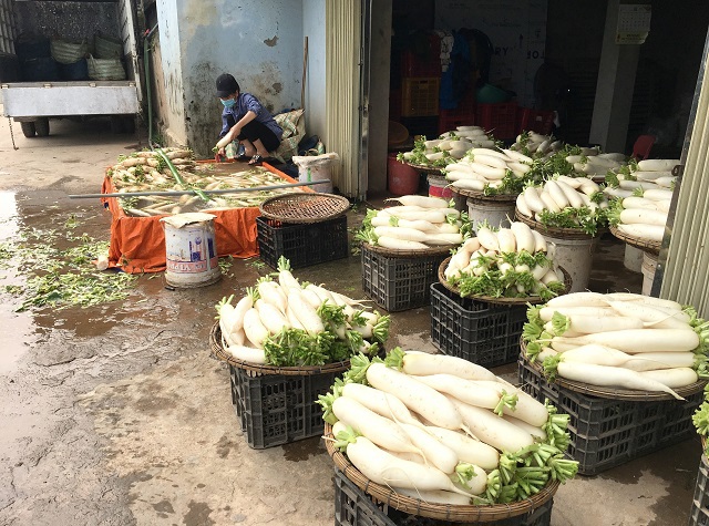 Đưa Tráng Việt thành vùng nguyên liệu rau củ quả - Ảnh 1