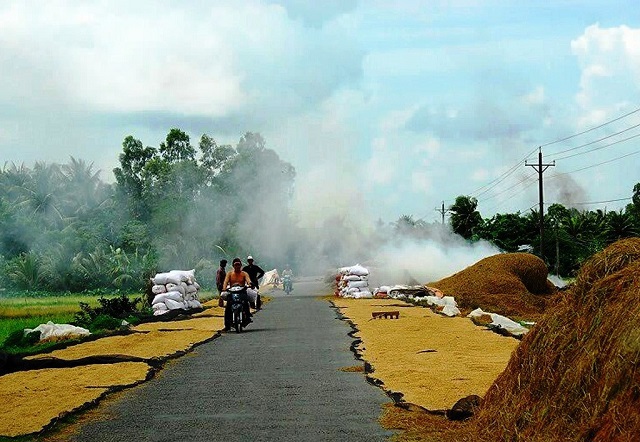 Tăng cường đảm bảo trật tự an toàn giao thông trong mùa thu hoạch nông sản - Ảnh 1