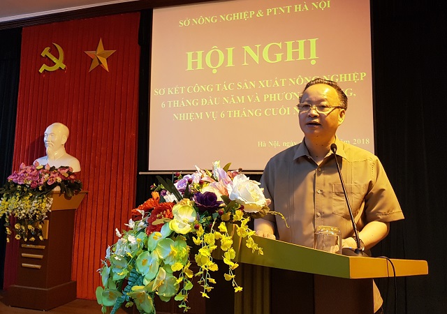 Phó Chủ tịch Thường trực UBND TP Hà Nội Nguyễn Văn Sửu: Ưu tiên phát triển nông nghiệp ứng dụng công nghệ cao - Ảnh 1