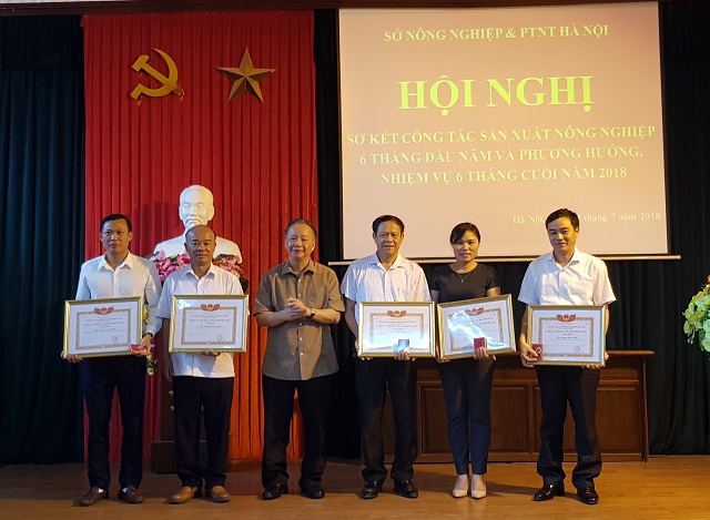 Phó Chủ tịch Thường trực UBND TP Hà Nội Nguyễn Văn Sửu: Ưu tiên phát triển nông nghiệp ứng dụng công nghệ cao - Ảnh 2