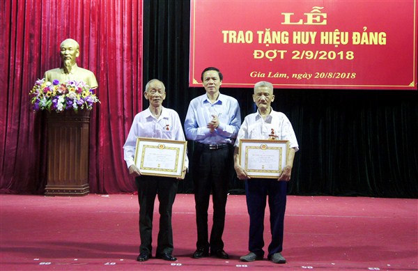 Huyện Gia Lâm trao Huy hiệu Đảng cho 252 đảng viên - Ảnh 1