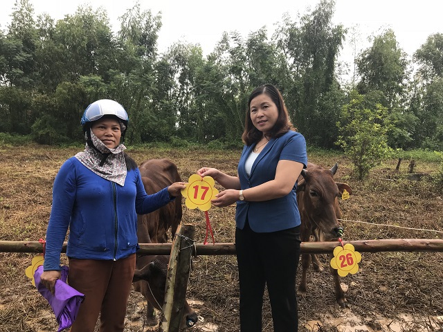 Huyện Thạch Thất trao tặng bò sinh sản cho 27 hộ nghèo - Ảnh 1