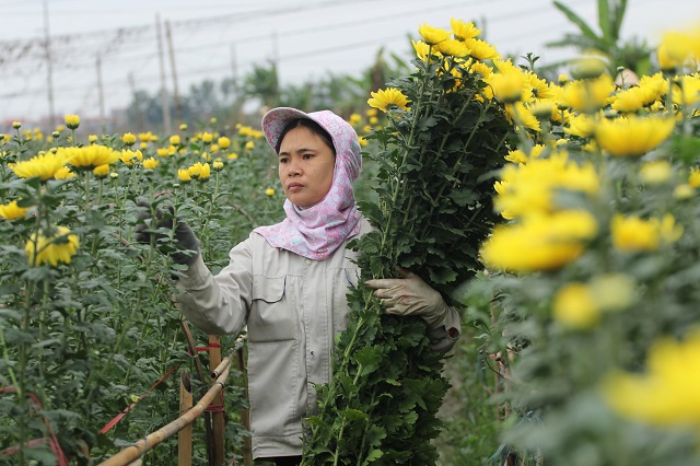 Năm 2018, nông nghiệp Hà Nội tăng trưởng 3,6% - Ảnh 2
