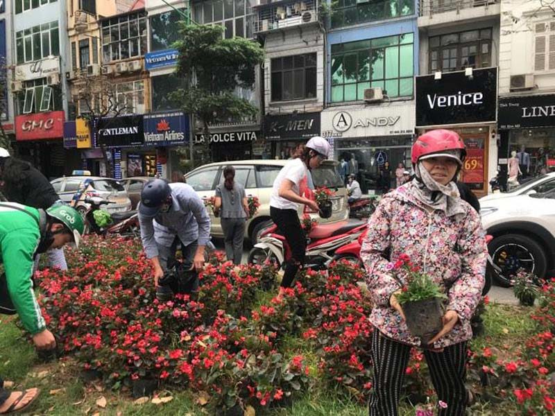 Vụ "hôi hoa" trên đường Kim Mã: Giành giật cái đẹp bằng hành vi xấu xí - Ảnh 1