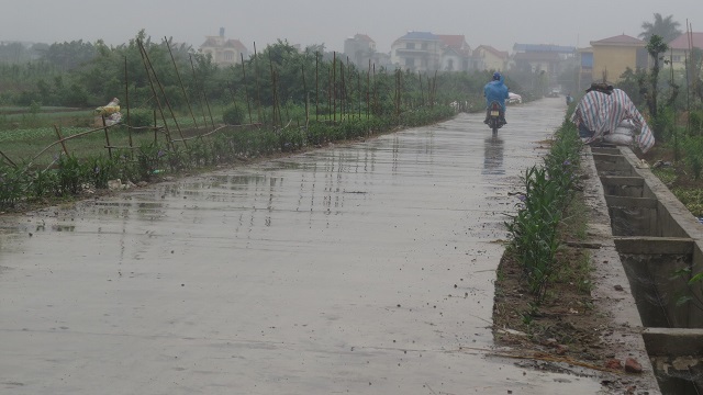 Tại xã Vân Tảo, huyện Thường Tín: Không có chuyện rút ruột công trình đường nội đồng - Ảnh 1