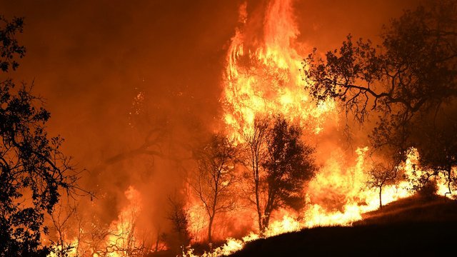 Thủ tướng Chính phủ chỉ đạo cấp bách phòng cháy, chữa cháy rừng - Ảnh 1