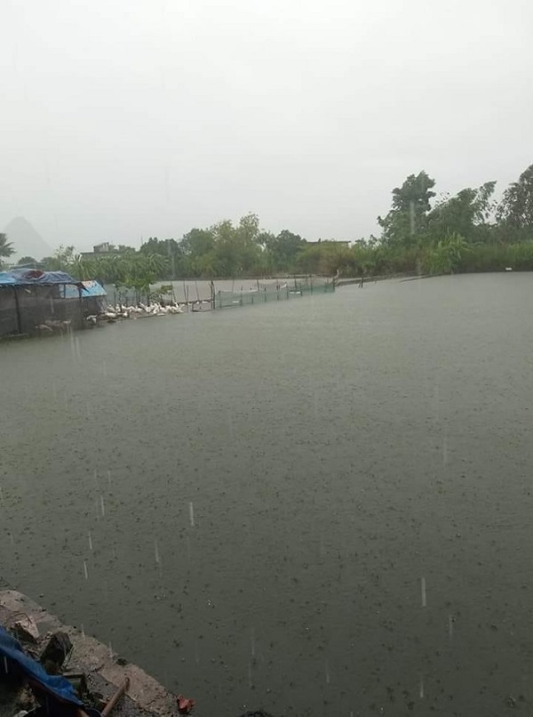 Hà Nội: Chủ động bảo vệ thủy sản do ảnh hưởng mưa bão gây ra - Ảnh 1