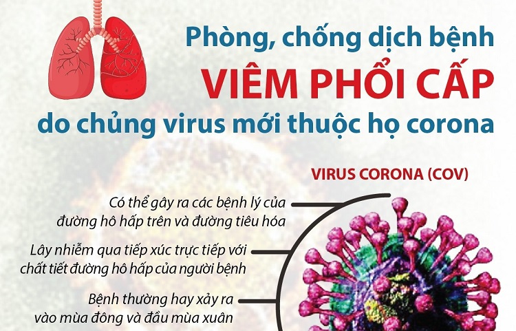 Quảng Ninh ra chỉ thị phòng, chống bệnh viêm phổi do virus corona - Ảnh 1