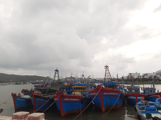 Bảo hiểm tàu cá ở Quảng Ngãi: Quy định “lệch pha”, ngư dân chịu thiệt - Ảnh 4