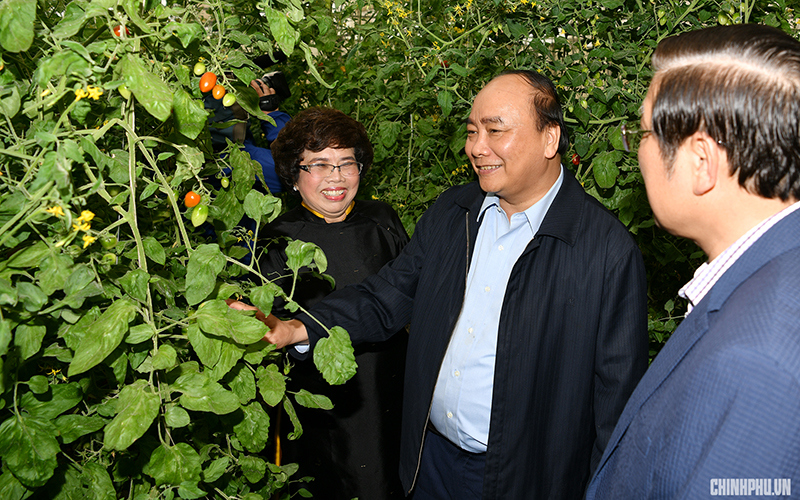 Thủ tướng dự khánh thành nhà máy nước tinh khiết, hoa quả, thảo dược lớn nhất miền Trung - Ảnh 6