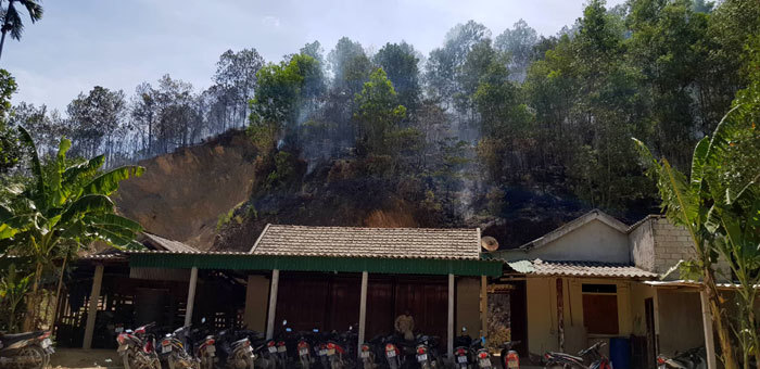 Hà Tĩnh: Cháy rừng lớn uy hiếp nhiều hộ gia đình - Ảnh 1